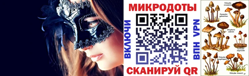 Псилоцибиновые грибы Psilocybine cubensis Купить Елабуга